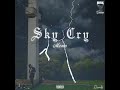G Memo Sky Cry Slowed Reverb