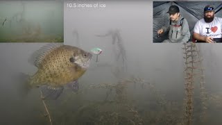 Ice Fishing LIVE w/ Underwater Views (ft. Joe Holland)