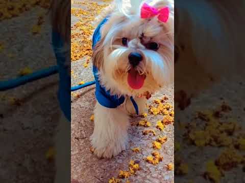 Happy Mother's day...@princytalks,Insta:-@princy_2_3