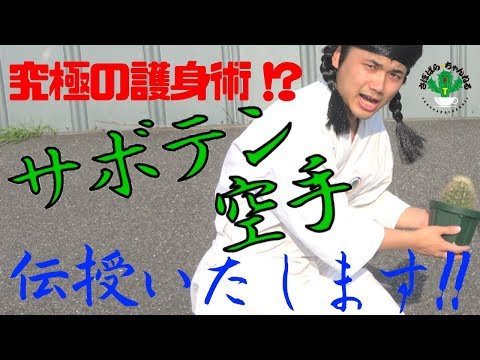 【女性必見】サボテン護身術　新たな武術を誕生させてみた！
