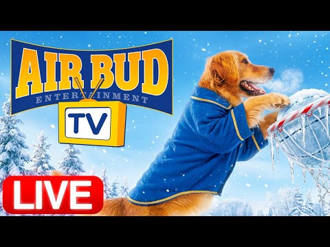 AIR BUD TV 24/7 Christmas Streaming Marathon