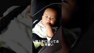 3ヶ月の赤ちゃんが指1本だけを吸うてるー🥺