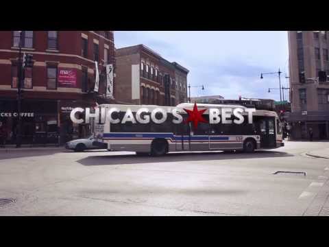 Chicago's Best Bakery Show Open