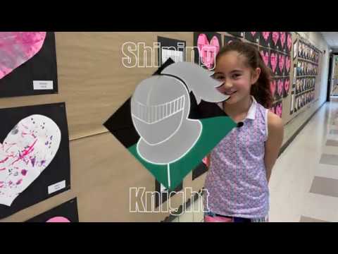 Shining Knight - Megan Root