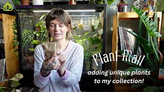 🪴 unboxing unusual new plants from crystal star nursery (I'm sooo excited about these!)