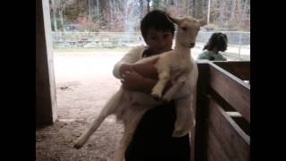 Song by Kidz Bop Kids - Girl On Fire