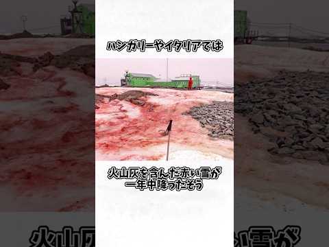 タンボラについて詳しく解説