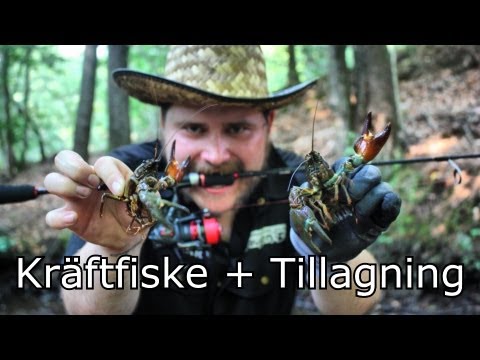 Fk Lubbe - Kräftfiske + Tillagning