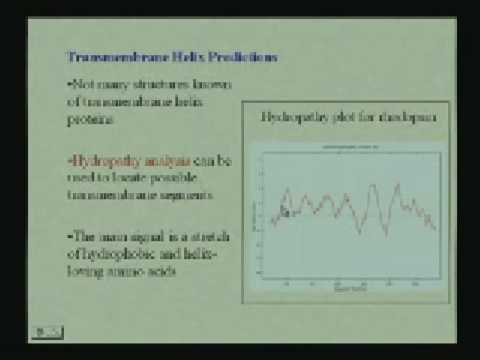 Protein Structure III