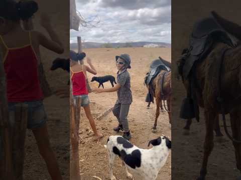 Fui buscar a namorada de jumenta😂🔥 #shorts