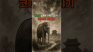 Download lagu 조선 실록에 기록된 마지막 코끼리 이야기#실화기반 #조선시대 #역사이야기 #감성스토리 #코끼리 #동양화 #사극감성 #조선실록 #유배된동물 #감동실화 mp3