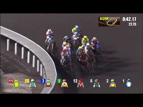 12/5/2021 (669) Man Star - K Teetan