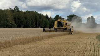 ماكينة حصادة دراسة New Holland TX66 Plus | صورة 4 - Agroline