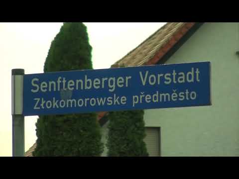 Vollsperrung am „Schweinemarkt“ - ELSTERWELLE