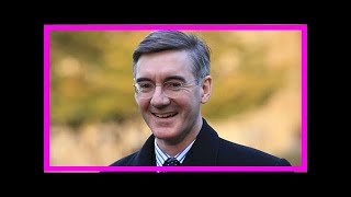 Tory darling jacob rees-mogg admits profits from abortion pills