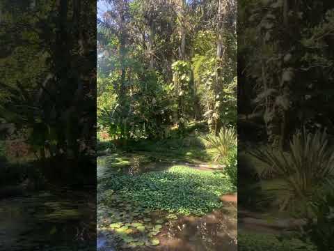 Laguna Sarchi Costa Rica 🇨🇷 valverde Vega #alajuela #sarchi #costarica #centralamerica #laguna