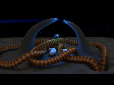 Morphever by Encore (demo for MorphOS PPC)