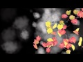Only Steps Away Lyric Video-Myka Relocate 