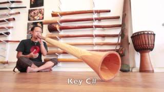 Twistedidge at Didgeridoo Breath