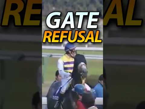 Seiun Sky Once Delayed a Race for 7 Minutes 😭