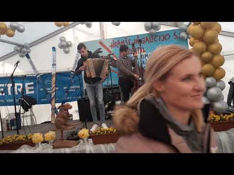 HARMONIKA TIMI ZAJC C F B - PLAZNIK STIMA