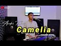 DANGDUT TERBARU CAMELIA H RHOMA IRAMA COV ANDRIKHAN