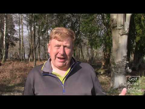 Scheffler and the TIO