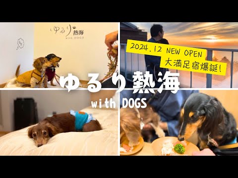 YouTube動画を再生