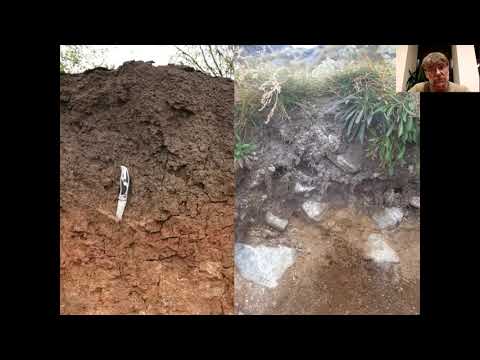 Dobos Endre - A talajegészség és talajművelési módok összefüggései