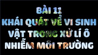 Vi khuẩn HP sống trong môi trường nào?