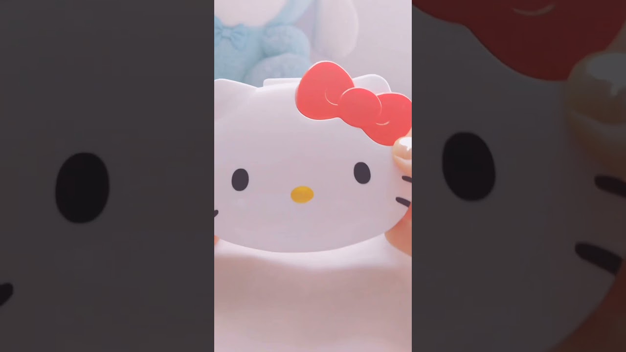 Hello Kitty accessory case 🎀