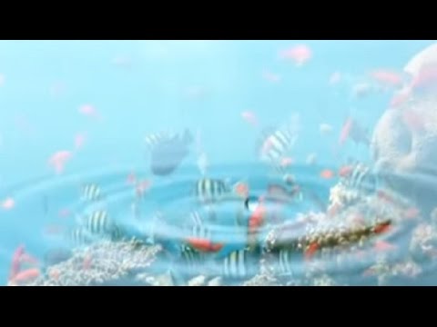 Mensaje de la Pizarra de Prashanti Nilayam_03 de marzo de 2015.