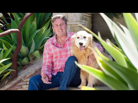 The Garden Gurus - Maintaining the rage