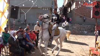 لعشاق الخيل والمزمار البلدي