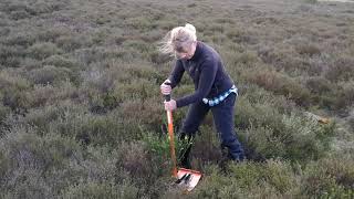Naturstyrelsen Trekantsområdet, Fælles arbejdsdag