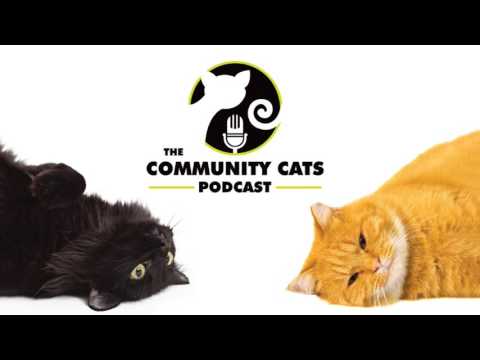 Community Cats Podcast Ep70 Tammy King
