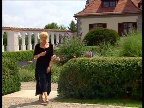 Tausendmal Ja - Claudia Jung