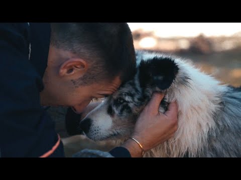 Lémofil - Le grand départ (clip officiel)