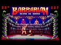 Lets Compare Every Home Computer Version Of Barbarian B