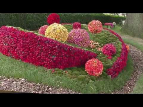 Rozenfestival 2018 Lottum