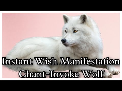 7minutes में हर impossible Wish poori! INVOKE WOLF SPIRIT & VISUALISE YOUR WISH FAST MANIFESTATION