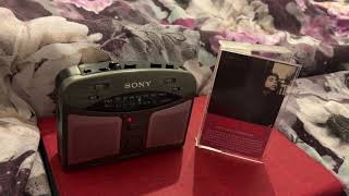 Laura Nyro New York Tendaberry Cassette, Captain For Dark Mornings