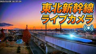 🚄東北新幹線 郡山 LIVE🔴REC ライブカメラ 鉄道 MAX320km/h Shinkansen TOHOKU🗾Japan disney live webcam