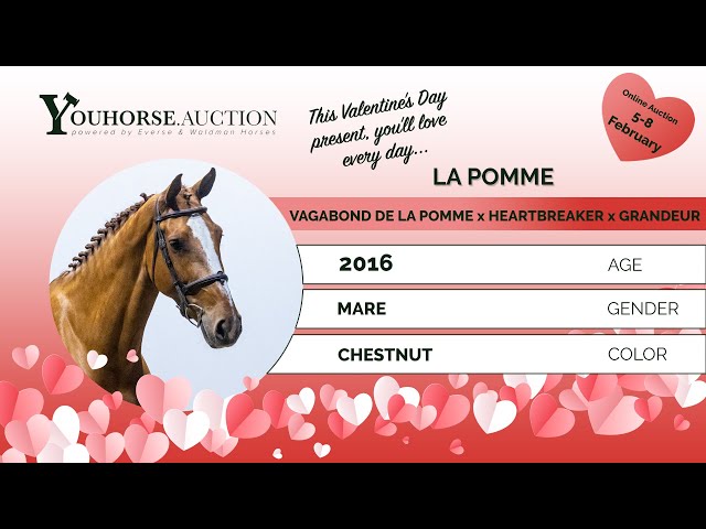 La Pomme @ the show