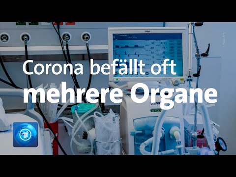 Studie: Covid-19 schädigt oft auch Nieren
