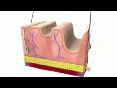 Behandlung von Wirbelsäulenmedizin Physiotherapie Behandlung von Osteoarthritis Geräte