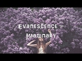 Evanescence - Imaginary [Acoustic Cover.Lyrics.Karaoke]