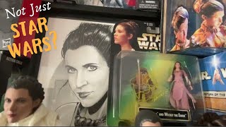 Toy Collection May 4th 2024