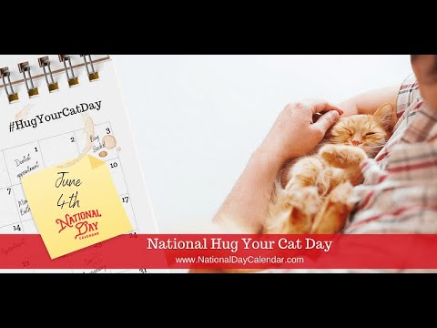 06042021 Hug Your Cat Day!