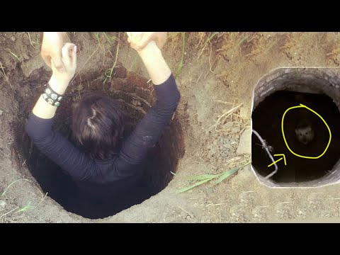 Der Besitzer warnte mich, nicht in der Nähe der Hunde zu sein, die er dort unten hielt, ein Albtraum